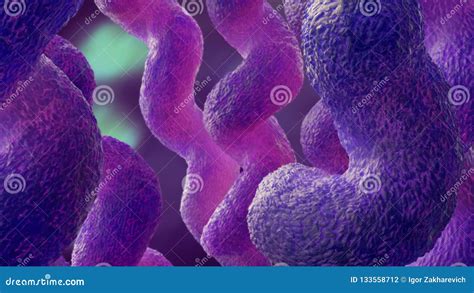 Campylobacter 3d Illustration Stock Illustration Illustration Of