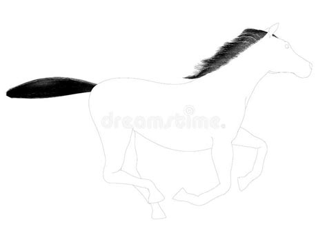 Horse Kick Silhouette Stock Illustrations 119 Horse Kick Silhouette