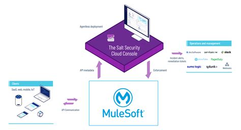 Salt Security Mulesoft
