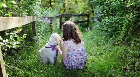 Los Beneficios Del Vínculo Emocional Entre Niños Y Mascotas Eslife
