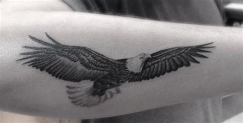 12 Small Eagle Tattoo Designs And Ideas Petpress