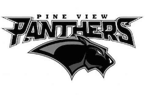 High School Football Pine View Panthers 2020 Preview Deseret News