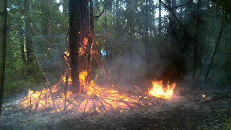 Small Little Forest Fire In Port Angeles Wa Youtube