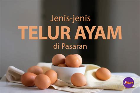 Jenis Jenis Telur Ayam Di Pasaran Sembako