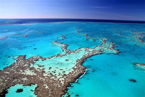 Great Barrier Reef Australien Gr Tes Korallenriff Der Welt