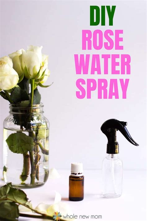 Refreshing Homemade Rose Water Spray Whole New Mom