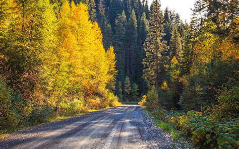 Download Wallpaper 3840x2400 Road Forest Trees Autumn