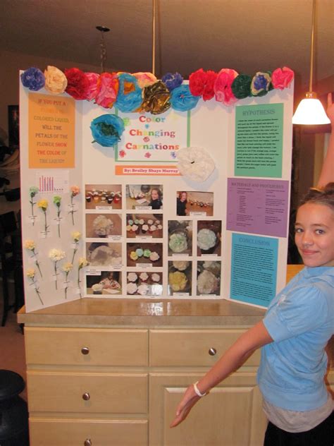 Life And Times Of The 4 Bs First Science Fair Experience
