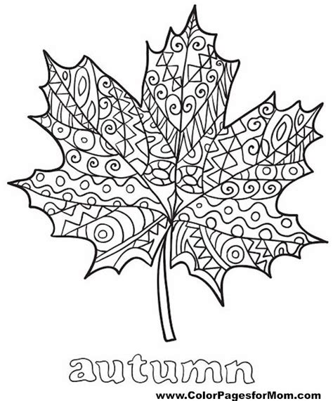 Our online collection of easy and get this free fall coloring page and many more from primarygames. leaves coloring page 35 free | Color Plants | Fall ...