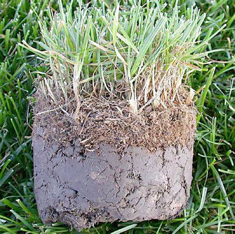 A thatch layer of 1/2 inch can work hand in hand with these soil requirements. You won't believe what can be used to remove thatch from an athletic field! - Alpine Services, Inc.