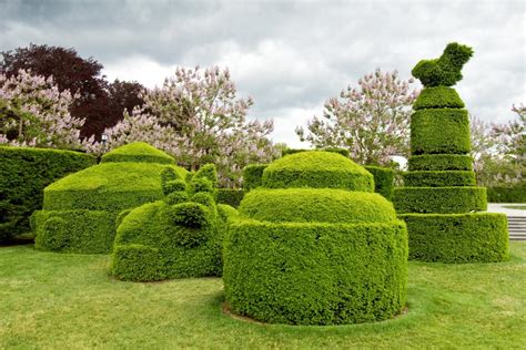 Incredible Topiaries Hgtv