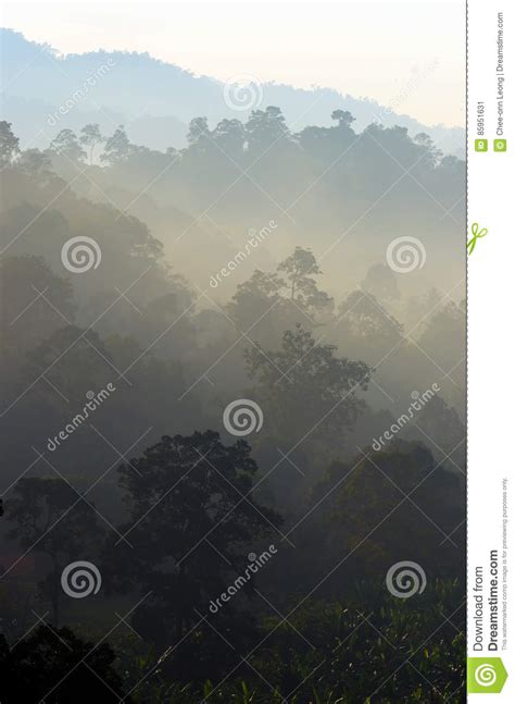 Stock Image Of Foggy Mountain In The Morning Stock Image Image Of