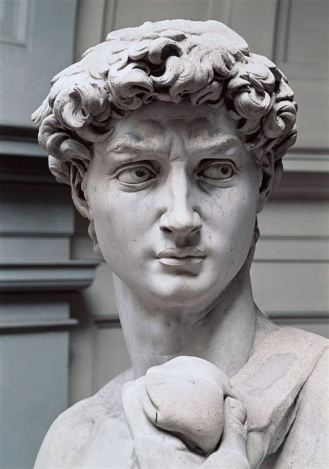 Explore Michelangelos David And Roman Sculpture In Florence