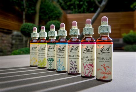 Dr Bachs Flower Remedies Get A Colorful Rebrand — The Dieline