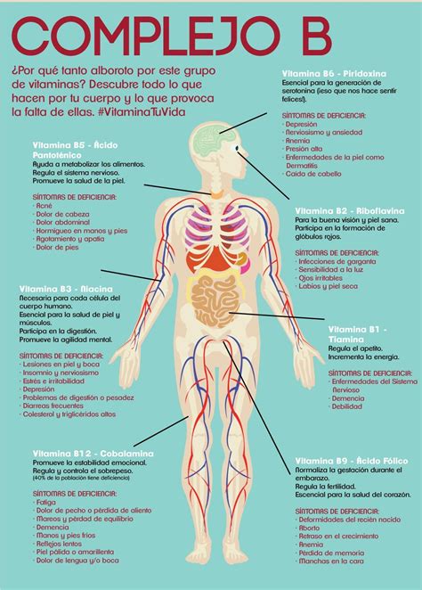 Infografia De Los Beneficios Vitaminas Complejo B Para Salud Health Health Info Coconut