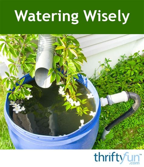 Apr 04, 2021 · how sprinklers work a sprinkler system is a network of pipes running through the ceiling of a building holding water under pressure. Watering Wisely | ThriftyFun