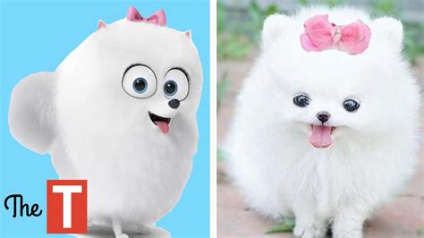 10 Secret Life Of Pets Characters In Real Life