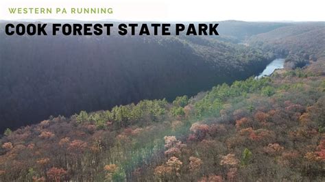 Cook Forest State Park Western Pa Running Wolf Creek Track Club