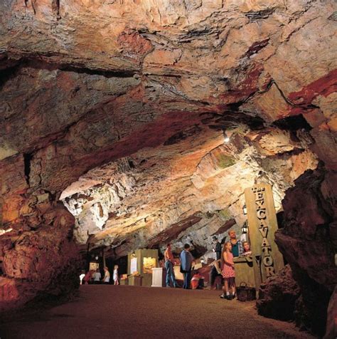 Creative Torbay Directory Kents Cavern Prehistory Caves Kents