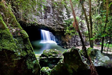 Natural Bridge And Springbrook Waterfalls Tour Gold Coast