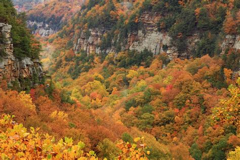 Best Time To See Georgia Fall Colors In Georgia Usa 2024 Roveme