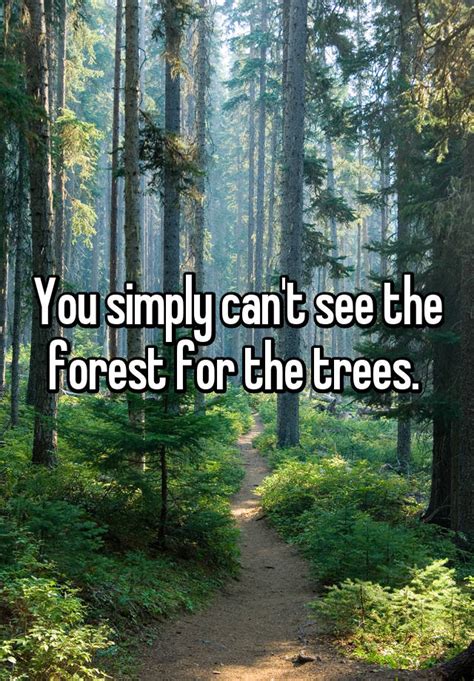 You Simply Cant See The Forest For The Trees