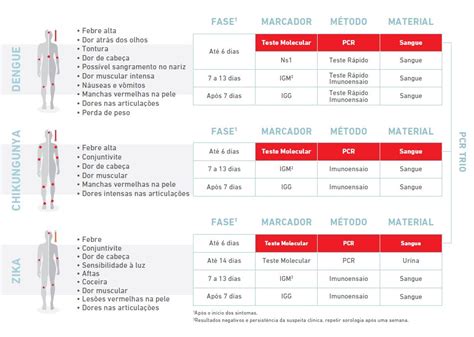 Dengue Zika Ou Chikungunya Laborat Rio Lustosa