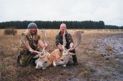 S A Fallow Deer Hunting Wild Deer Hunting Adventures