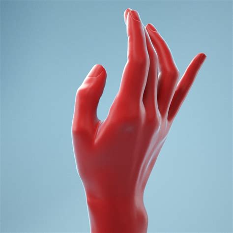 13 Female Hands Posed 3d Model Collection Cgtrader