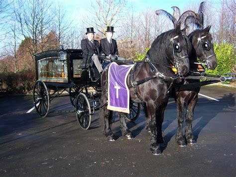 Pin By Bill Murphy On Horse Teams Horses Carriage Driving Friesian