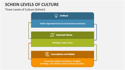 Schein Levels Of Culture Powerpoint Presentation Slides Ppt Template