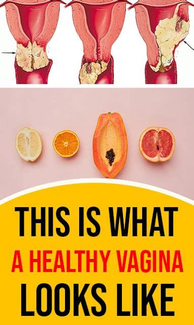 This Is What A Healthy Vagina Looks Like Healthy Centrals