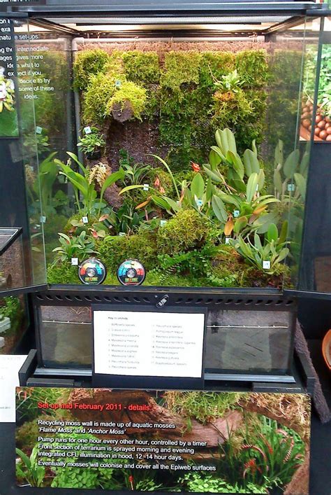 The Gardengoer: A Day at the London Orchid Show | Orchid show, Orchid terrarium, Orchid house