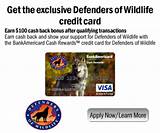 Pictures of Cash Rewards Boa Credit Card