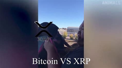 Ripple xrp meme 12299 gifs. Xrp Meme - D Xrp - The best gifs are on giphy. - Alinda's News