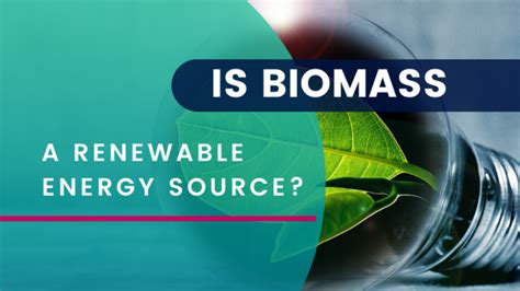 Is Biomass A Renewable Energy Source Dexma