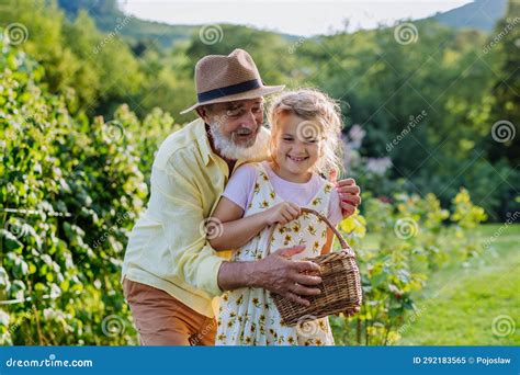 portrait of grandfather with granddaughter in the garden stock image image of grandfather