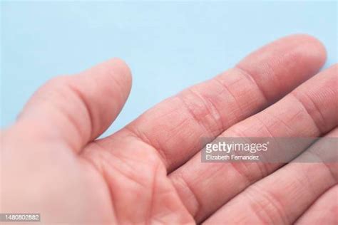Left Hand Palm Photos And Premium High Res Pictures Getty Images