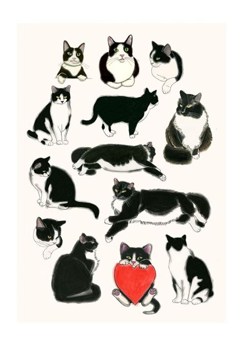 I Heart Tuxedo Cats Kitten Drawing Tuxedo Cat Art Cat Illustration
