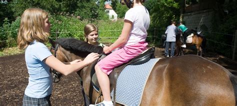 Pferdesport Warum Mädchen Reiten Mehr Sport Faz