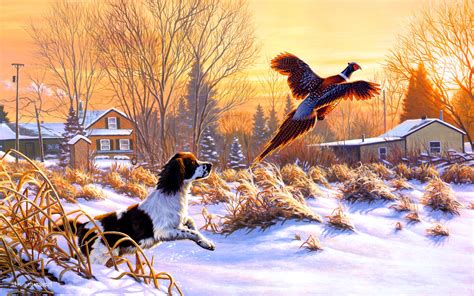 Funny Flying Dog And Bird Wallpapers Hd Desktop And