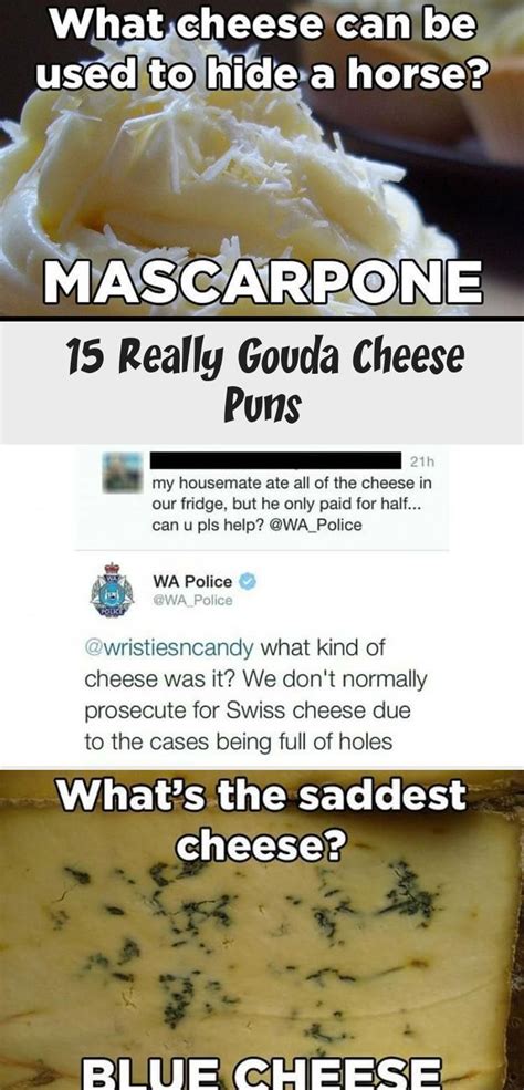 15 Really Gouda Cheese Puns Cheese Puns Cheesy Puns Puns