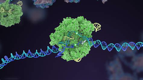 Can Crispr Gene Therapy Be A Single Injection