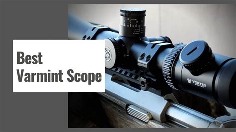 The 10 Best Varmint Scope In 2023 For Your Shooting Needs