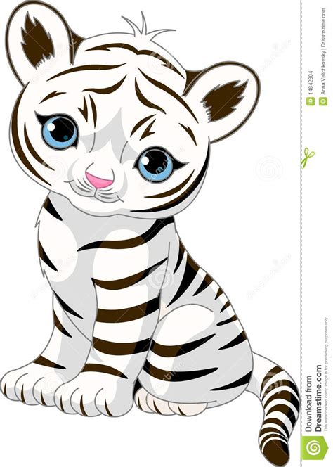 Cute White Tiger Cub Stock Vector Illustration Of Painting 14842804
