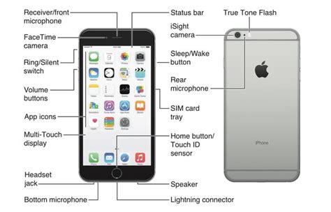 Published by simply carpny team. Image result for iphone 6 buttons diagram | Iphone, Iphone 6, Multi touch