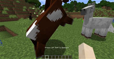 What Do Horses Eat In Minecraft Horse Official Minecraft Wiki Horses