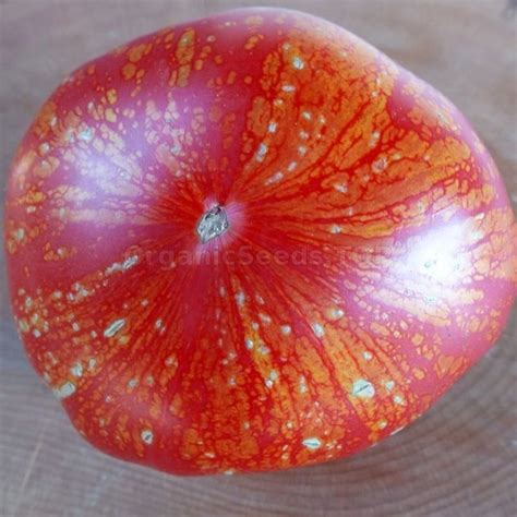 Fireworks Pink Organic Tomato Seeds Shipping Is Free For Orders