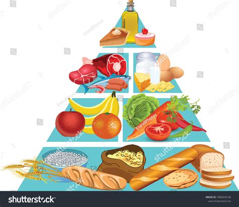 Food And Drink Pyramid Info Graphics Over 14 Royalty Free Licensable