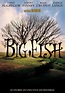 Big Fish - Le storie di una vita incredibile - streaming